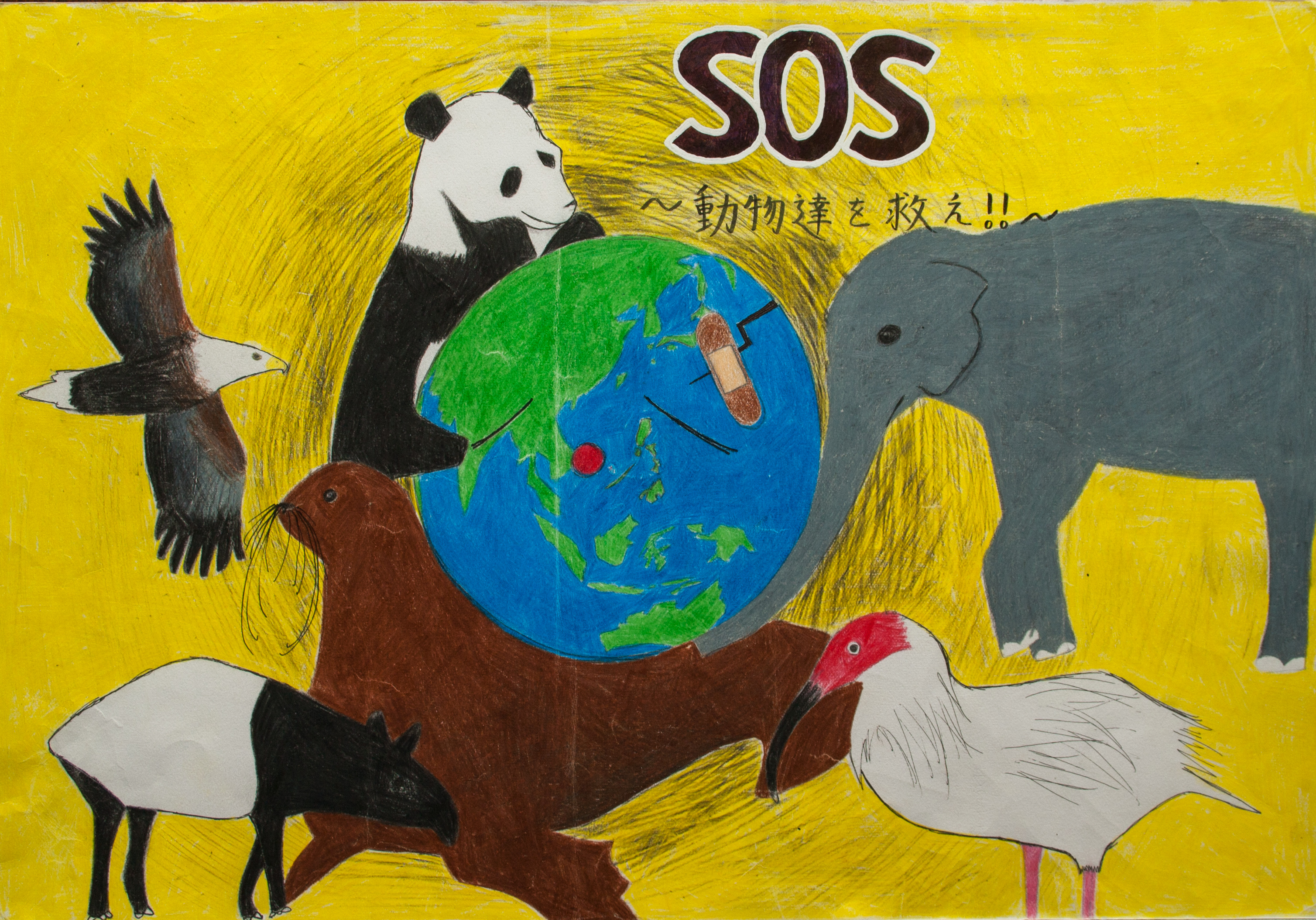 SOS save animals!! | Children Map Their World